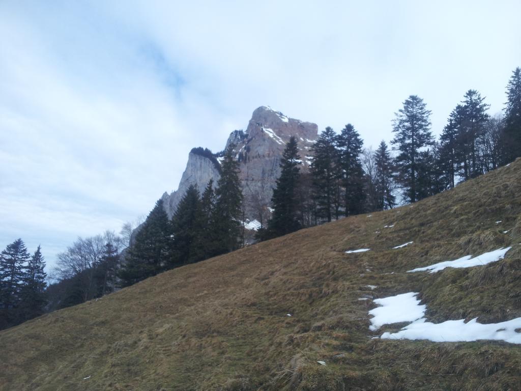 Studio Mythen Schwyz Bagian luar foto
